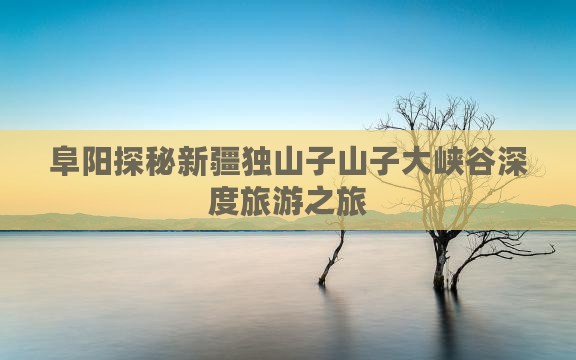 阜阳探秘新疆独山子山子大峡谷深度旅游之旅