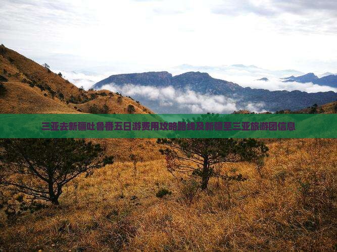 三亚去新疆吐鲁番五日游费用攻略路线及新疆至三亚旅游团信息