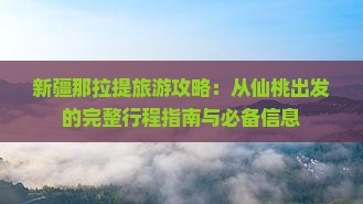 新疆那拉提旅游攻略：从仙桃出发的完整行程指南与必备信息