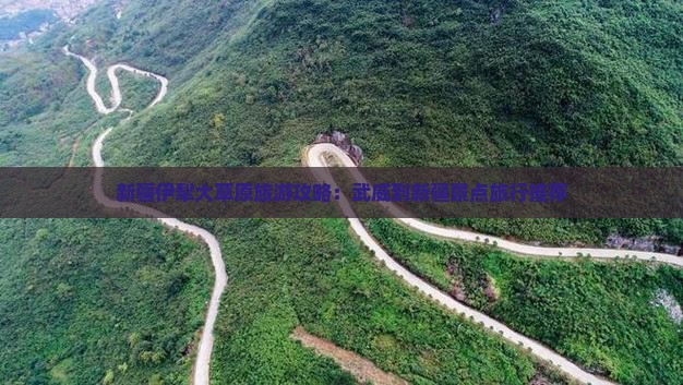 新疆伊犁大草原旅游攻略：武威到新疆景点旅行推荐