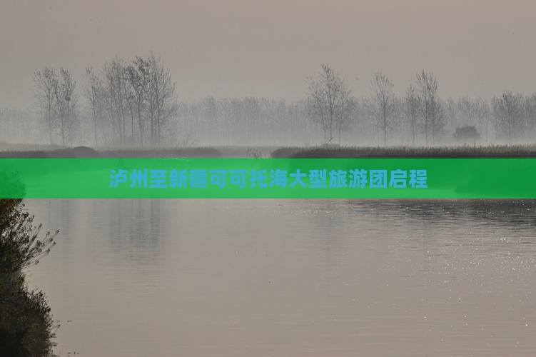 泸州至新疆可可托海大型旅游团启程