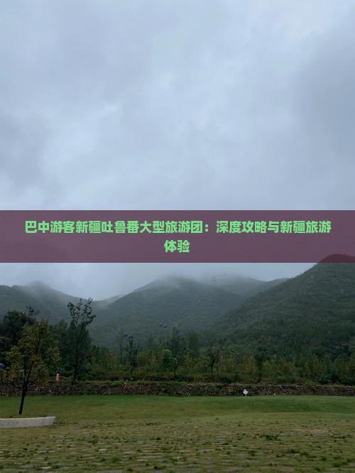 巴中游客新疆吐鲁番大型旅游团：深度攻略与新疆旅游体验