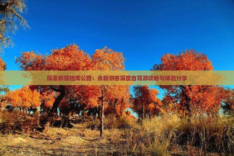 探索新疆独库公路：永新游客深度自驾游攻略与体验分享