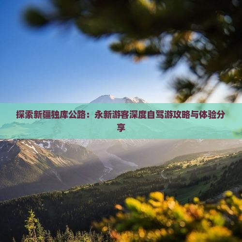 探索新疆独库公路：永新游客深度自驾游攻略与体验分享
