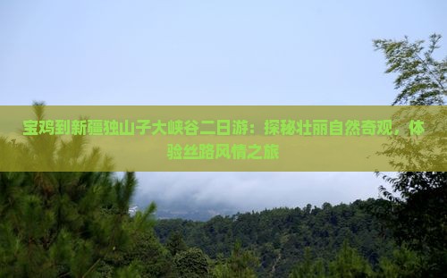 宝鸡到新疆独山子大峡谷二日游：探秘壮丽自然奇观，体验丝路风情之旅