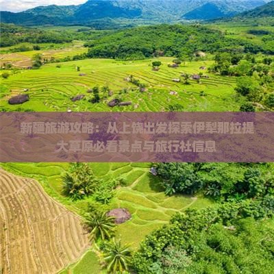新疆旅游攻略：从上饶出发探索伊犁那拉提大草原必看景点与旅行社信息