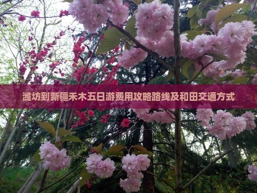 潍坊到新疆禾木五日游费用攻略路线及和田交通方式 潍坊到新疆禾木五日游费用攻略路线及和田交通方式