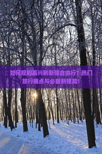 如何规划嘉兴到新疆自由行？热门旅行痛点与必备新技能！