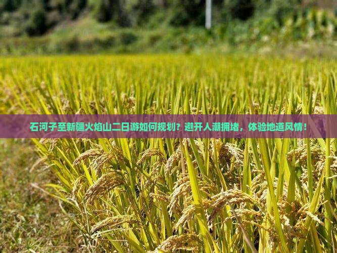 石河子至新疆火焰山二日游如何规划？避开人潮拥堵，体验地道风情！