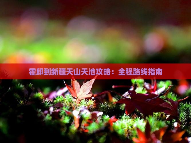 霍邱到新疆天山天池攻略：全程路线指南
