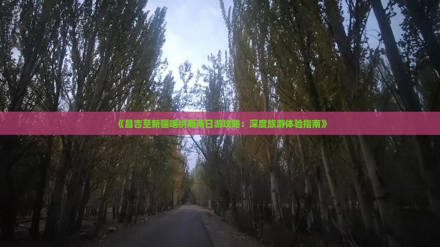 《昌吉至新疆喀纳斯两日游攻略：深度旅游体验指南》
