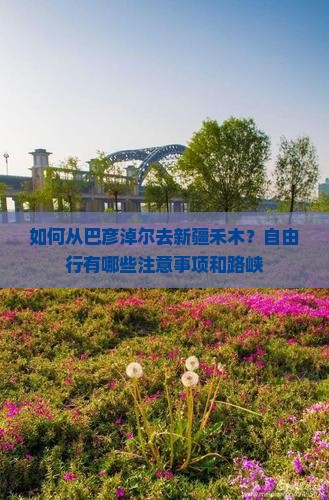 如何从巴彦淖尔去新疆禾木？自由行有哪些注意事项和路峡