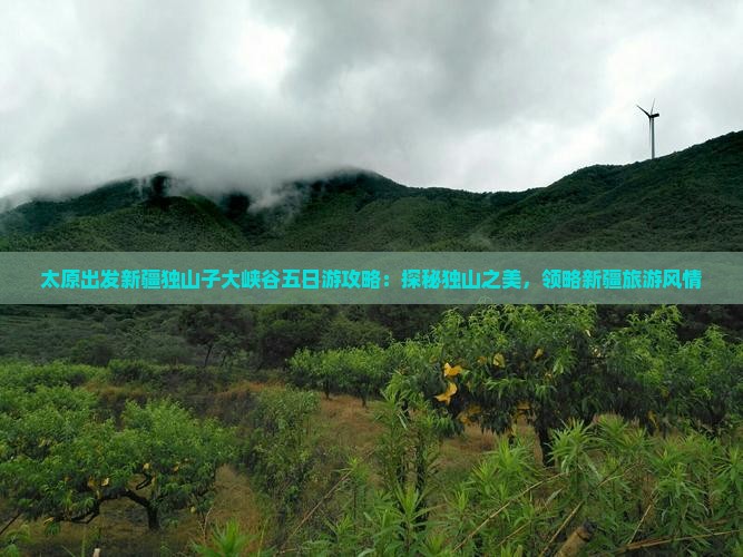 太原出发新疆独山子大峡谷五日游攻略：探秘独山之美，领略新疆旅游风情