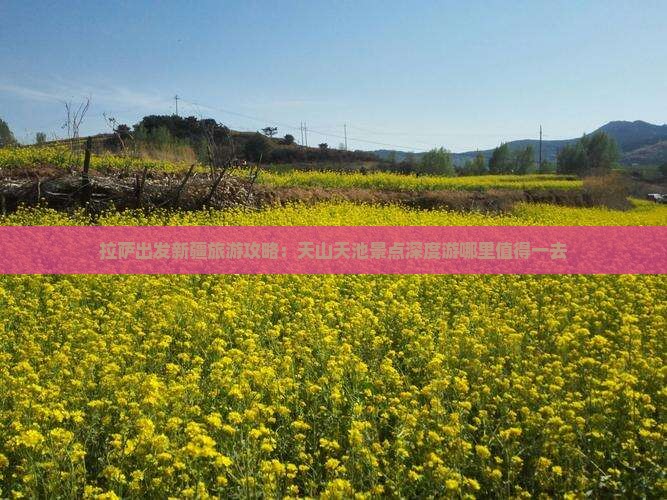拉萨出发新疆旅游攻略：天山天池景点深度游哪里值得一去