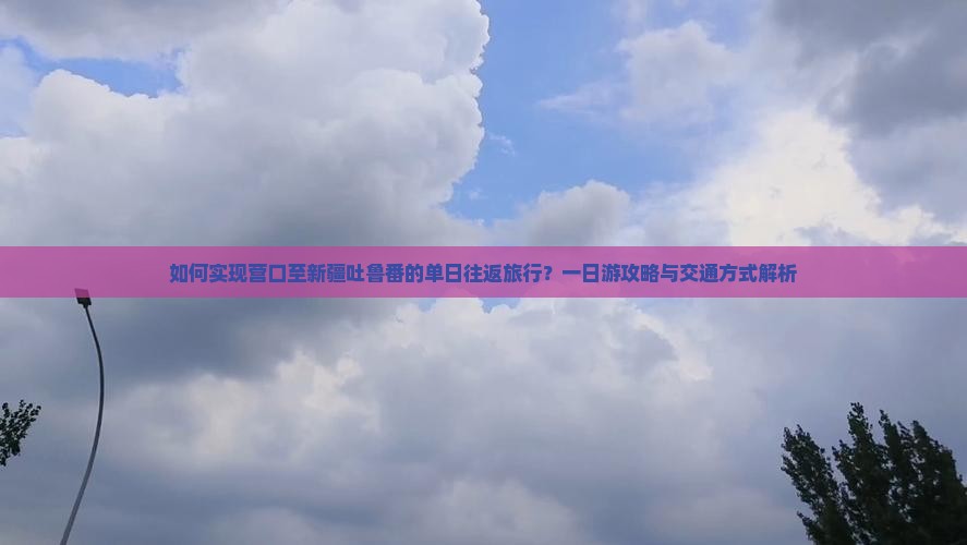 如何实现营口至新疆吐鲁番的单日往返旅行？一日游攻略与交通方式解析