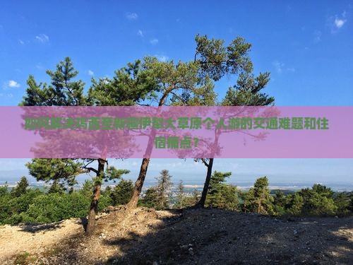 如何解决鸡西至新疆伊犁大草原个人游的交通难题和住宿痛点？