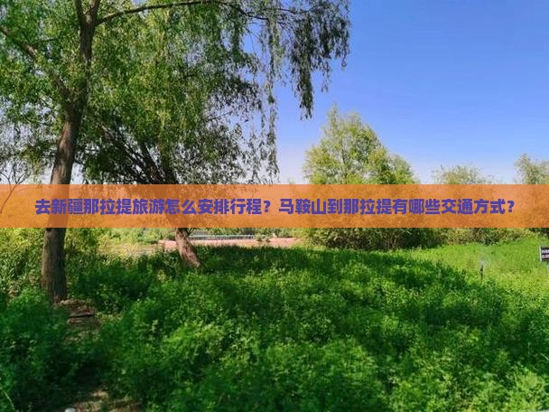 去新疆那拉提旅游怎么安排行程？马鞍山到那拉提有哪些交通方式？