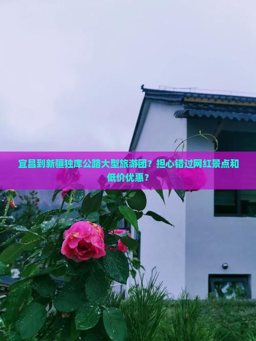 宜昌到新疆独库公路大型旅游团？担心错过网红景点和低价优惠？