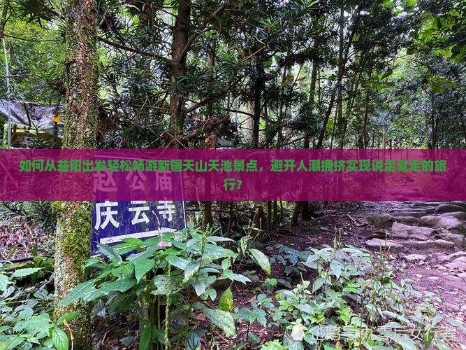 如何从益阳出发轻松畅游新疆天山天池景点，避开人潮拥挤实现说走就走的旅行？