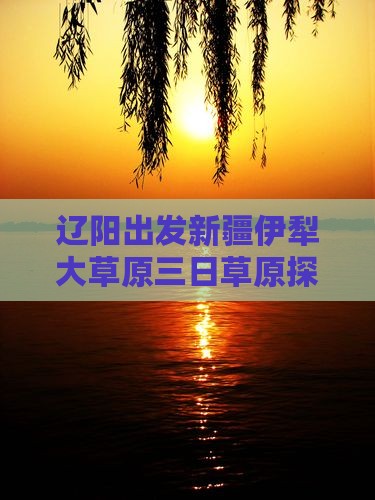 辽阳出发新疆伊犁大草原三日草原探险之旅