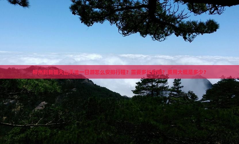 柳州到新疆天山天池一日游怎么安排行程？需要多长时间？费用大概是多少？