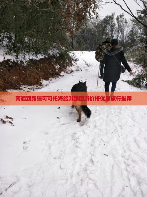 南通到新疆可可托海旅游跟团游价格优惠旅行推荐