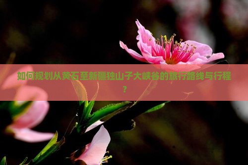 如何规划从黄石至新疆独山子大峡谷的旅行路线与行程？