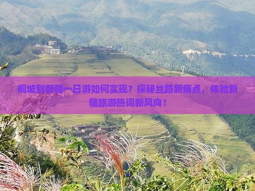桐城到新疆一日游如何实现？探秘丝路新痛点，体验新疆旅游热词新风向！