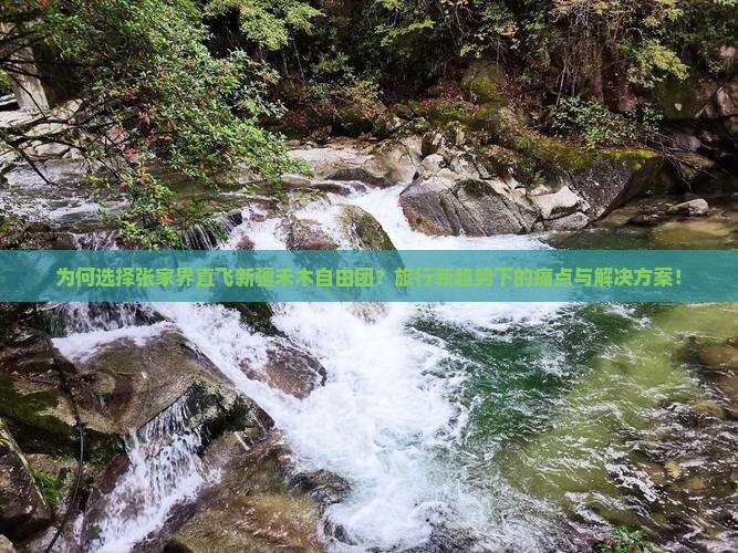 为何选择张家界直飞新疆禾木自由团？旅行新趋势下的痛点与解决方案！