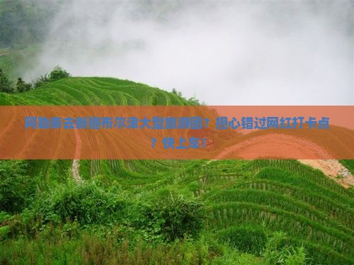 阿勒泰去新疆布尔津大型旅游团？担心错过网红打卡点？快上车！