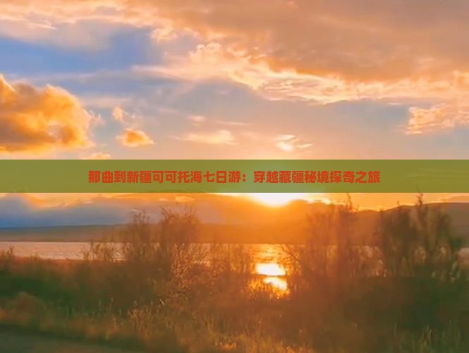 那曲到新疆可可托海七日游：穿越藏疆秘境探奇之旅