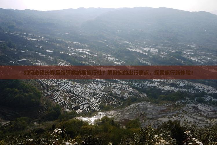 如何选择长春至新疆喀纳斯旅行社？解答您的出行痛点，探索旅行新体验！