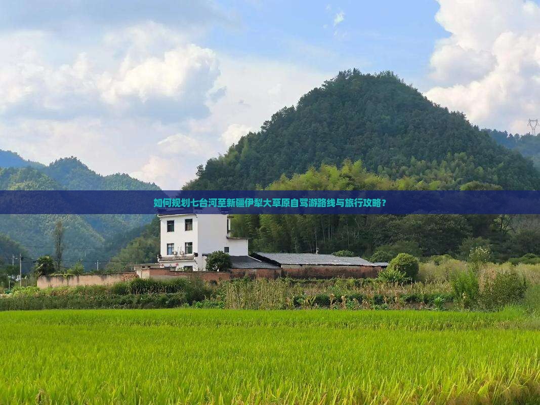 如何规划七台河至新疆伊犁大草原自驾游路线与旅行攻略？