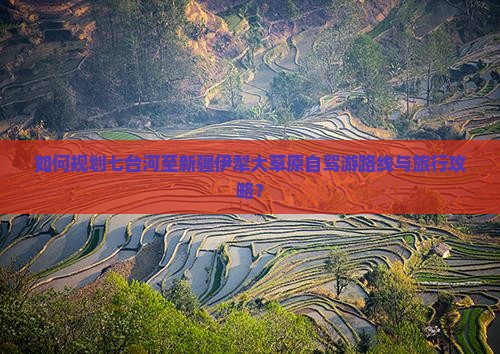 如何规划七台河至新疆伊犁大草原自驾游路线与旅行攻略？