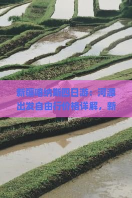 新疆喀纳斯四日游：河源出发自由行价格详解，新疆旅游全攻略及必游景点推荐