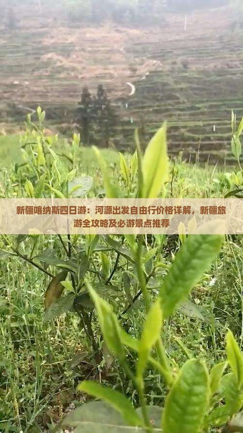 新疆喀纳斯四日游：河源出发自由行价格详解，新疆旅游全攻略及必游景点推荐