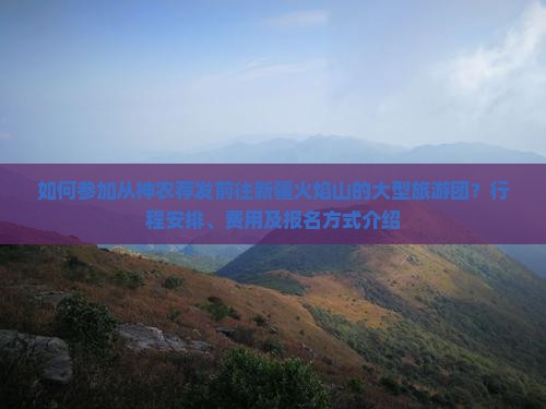 如何参加从神农荐发前往新疆火焰山的大型旅游团？行程安排、费用及报名方式介绍