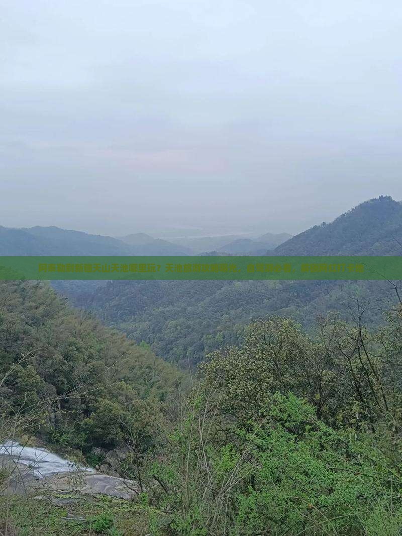 阿泰勒到新疆天山天池哪里玩？天池旅游攻略曝光，自驾游必看，解锁网红打卡地