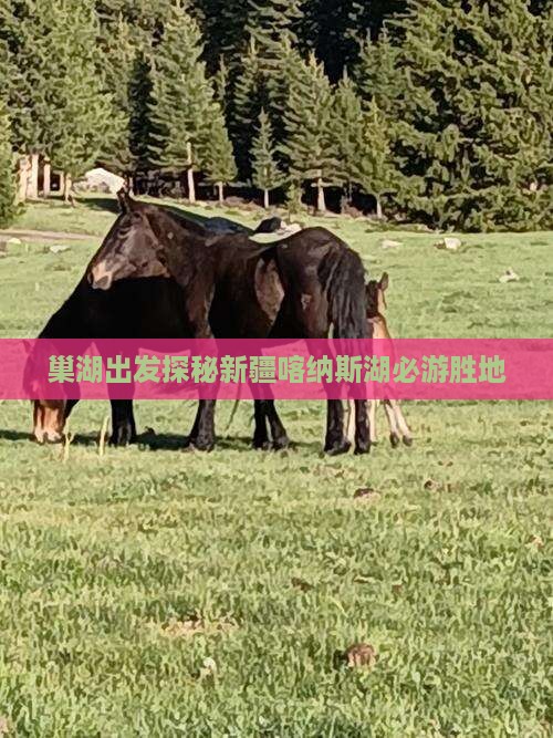 巢湖出发探秘新疆喀纳斯湖必游胜地