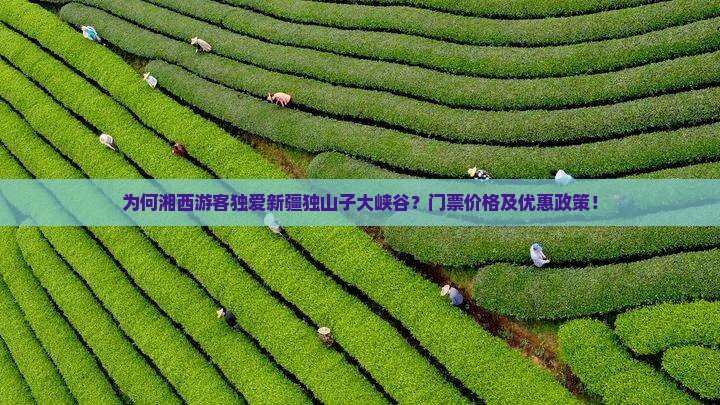 为何湘西游客独爱新疆独山子大峡谷？门票价格及优惠政策！