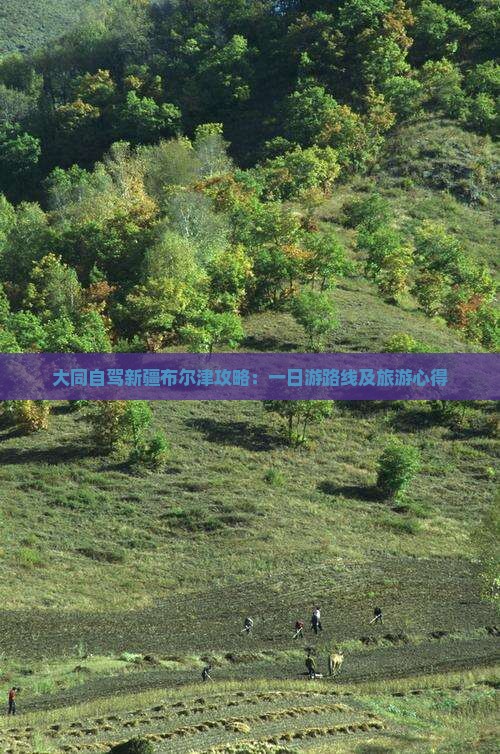 大同自驾新疆布尔津攻略：一日游路线及旅游心得