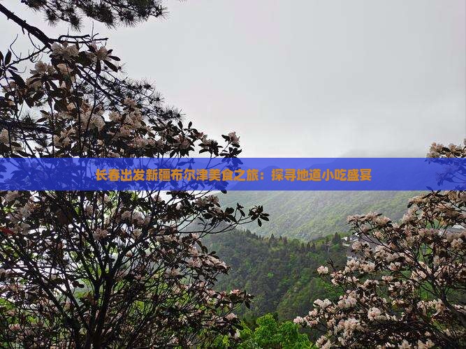 长春出发新疆布尔津美食之旅：探寻地道小吃盛宴