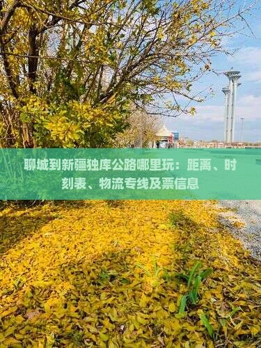 聊城到新疆独库公路哪里玩：距离、时刻表、物流专线及票信息