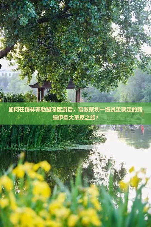 如何在锡林郭勒盟深度游后，高效策划一场说走就走的新疆伊犁大草原之旅？