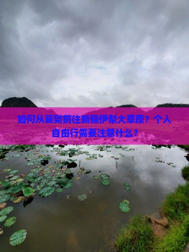 如何从襄樊前往新疆伊犁大草原？个人自由行需要注意什么？