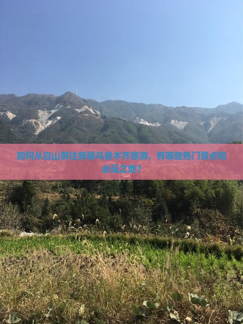 如何从白山前往新疆乌鲁木齐旅游，有哪些热门景点和必玩之地？