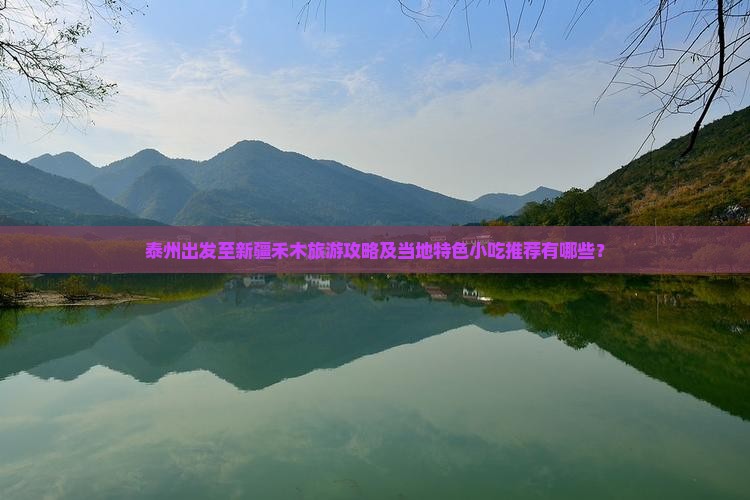 泰州出发至新疆禾木旅游攻略及当地特色小吃推荐有哪些？