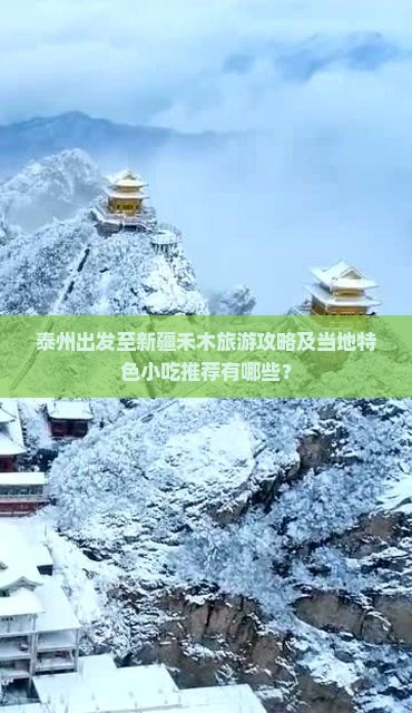 泰州出发至新疆禾木旅游攻略及当地特色小吃推荐有哪些？