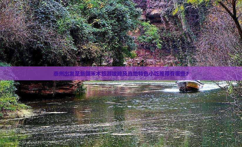 泰州出发至新疆禾木旅游攻略及当地特色小吃推荐有哪些？