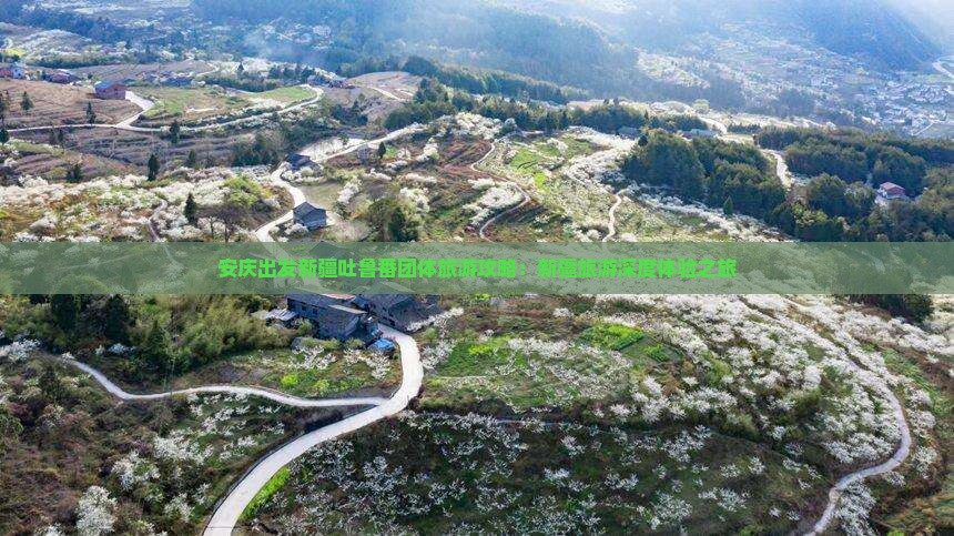 安庆出发新疆吐鲁番团体旅游攻略：新疆旅游深度体验之旅
